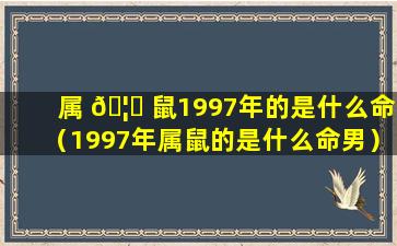 属 🦉 鼠1997年的是什么命（1997年属鼠的是什么命男）